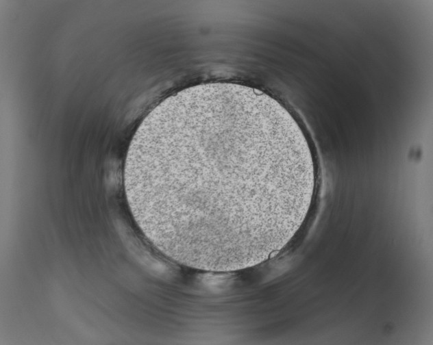 X0000110960135200907311115
