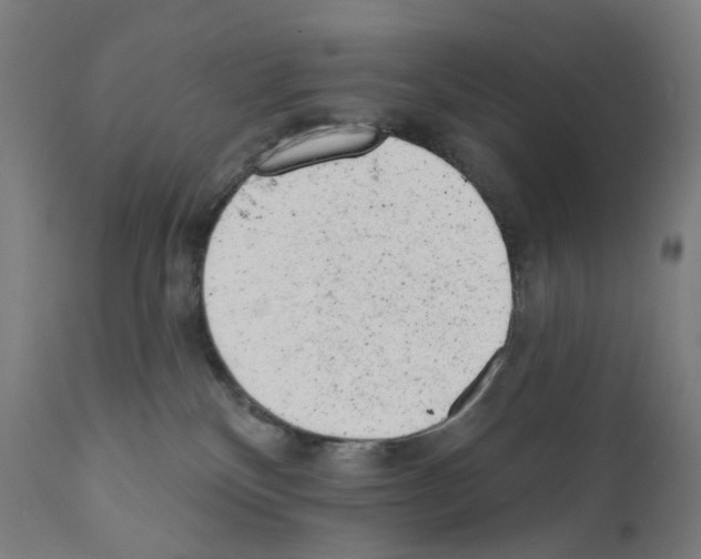 X0000110960136200907311115