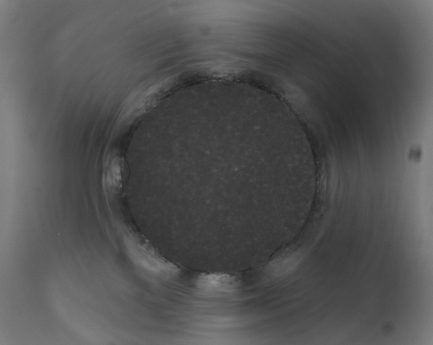X0000110960137200907311115