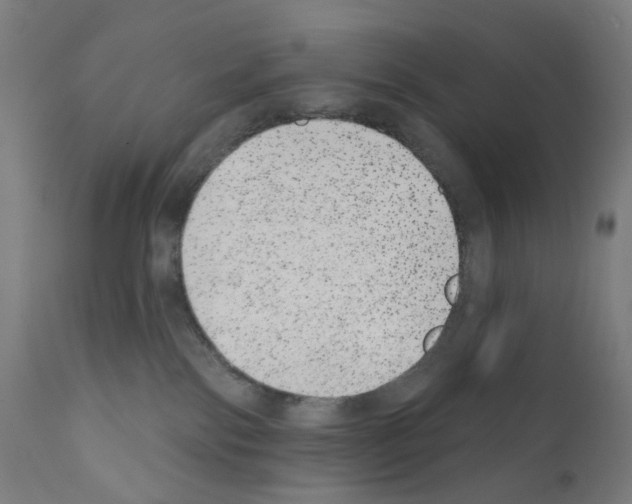 X0000110960138200907311115