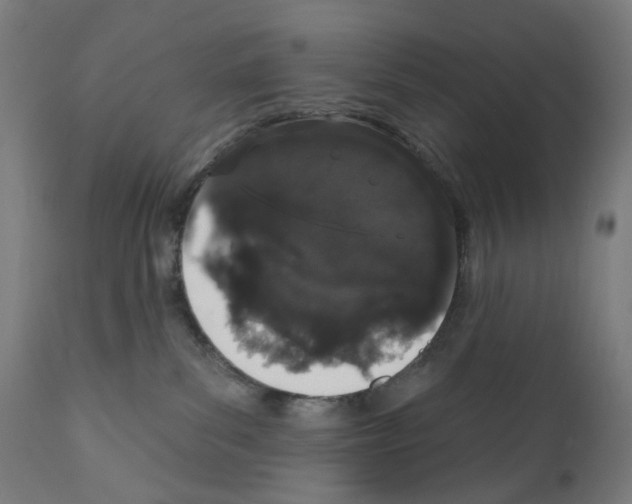 X0000110960139200907311115