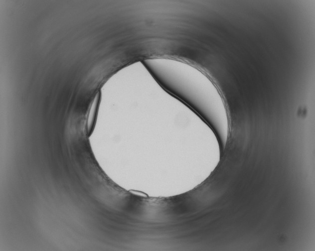 X0000110960141200907311115