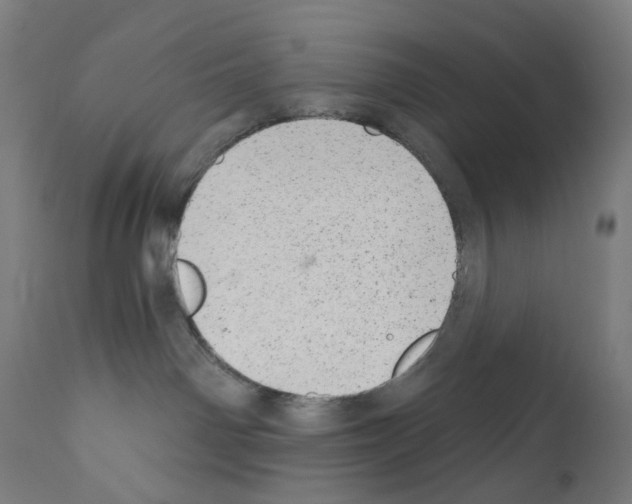 X0000110960142200907311115