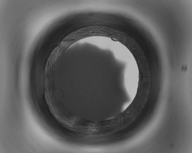 X0000110960143200907311115