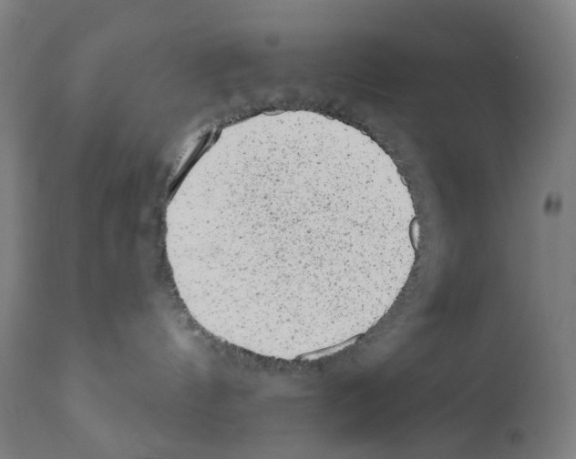 X0000110960144200907311115
