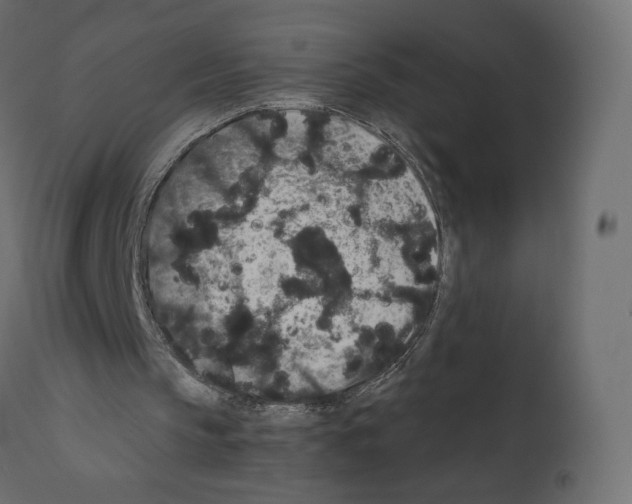 X0000110960145200907311114