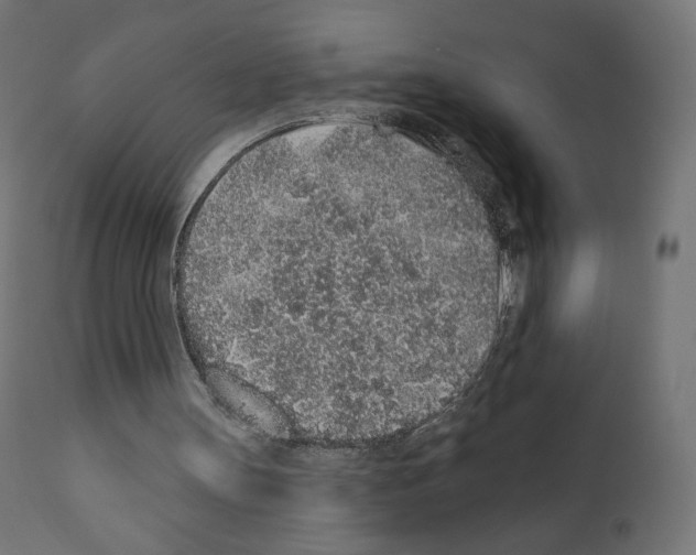X0000110960147200907311114