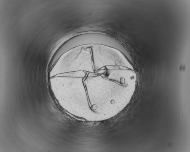X0000110960148200907311114