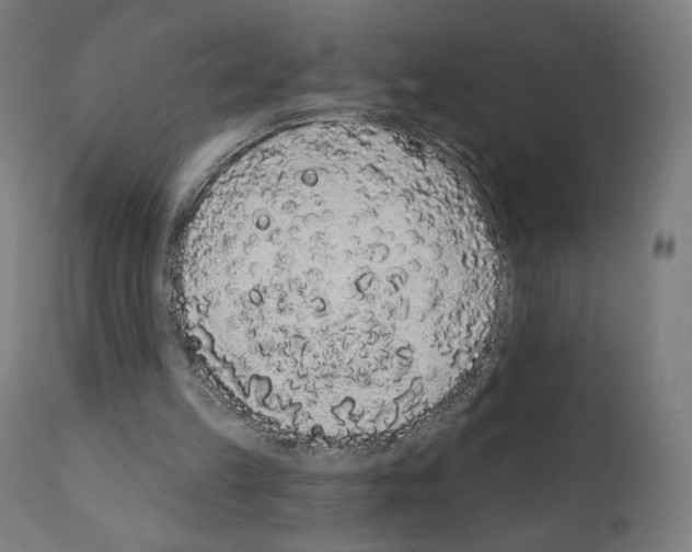 X0000110960149200907311114
