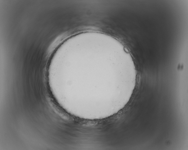X0000110960151200907311114