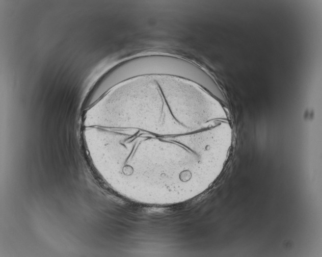X0000110960152200907311114