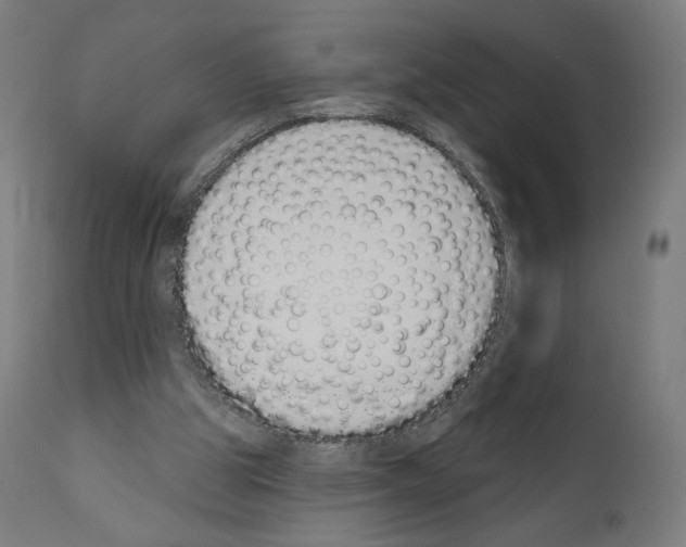 X0000110960153200907311114
