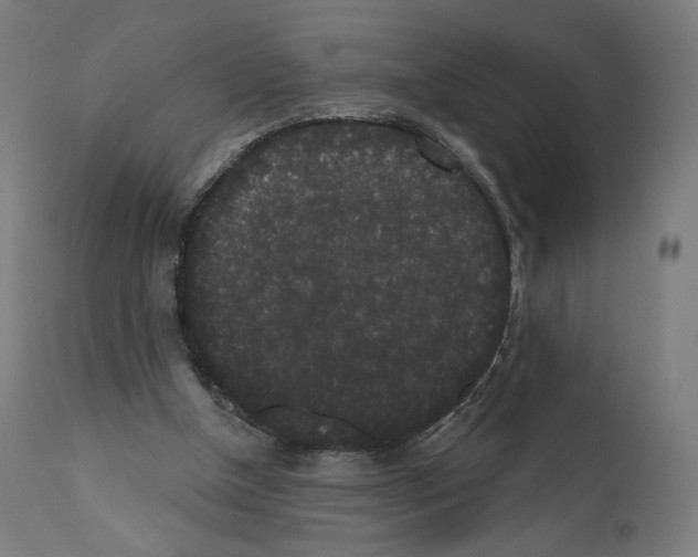 X0000110960154200907311114