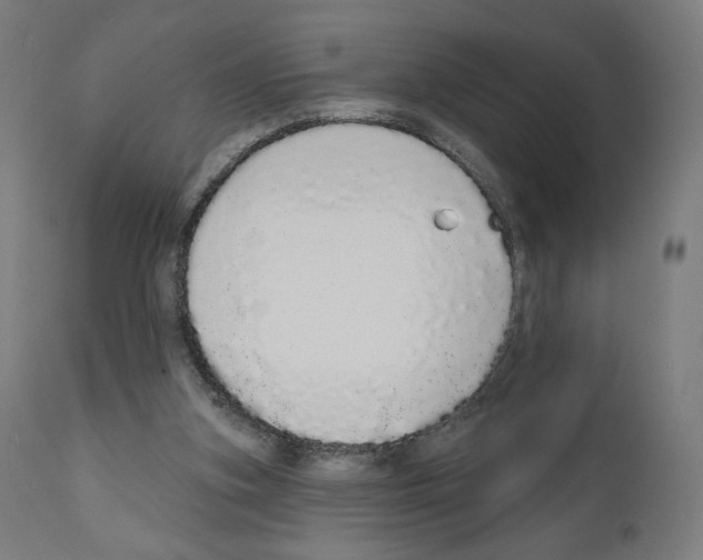 X0000110960155200907311114