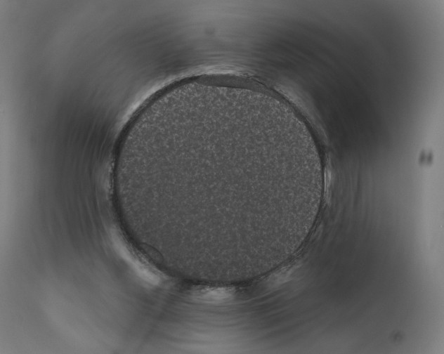 X0000110960156200907311114