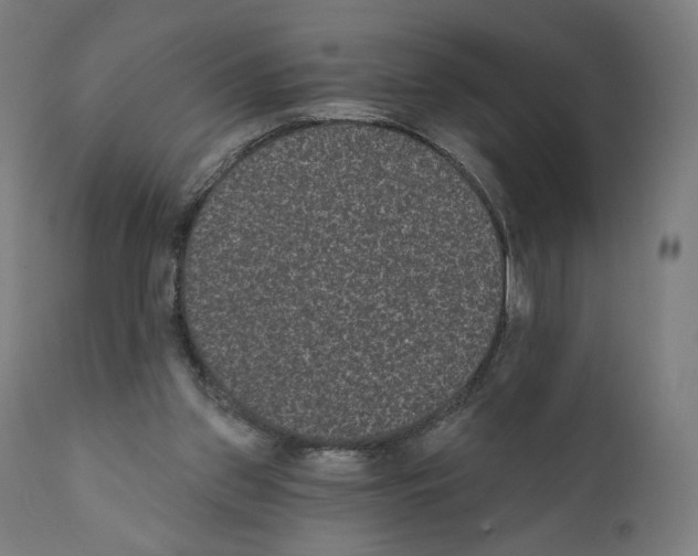X0000110960157200907311114