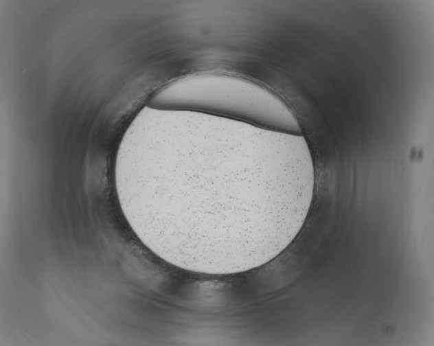 X0000110960158200907311114