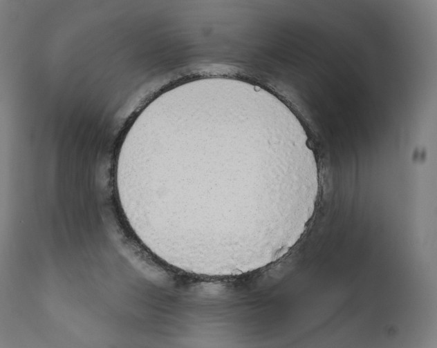 X0000110960159200907311114