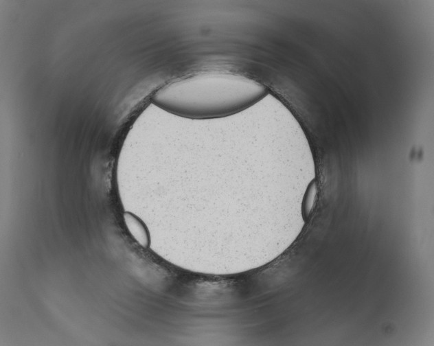X0000110960160200907311114