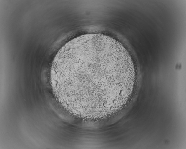 X0000110960161200907311114