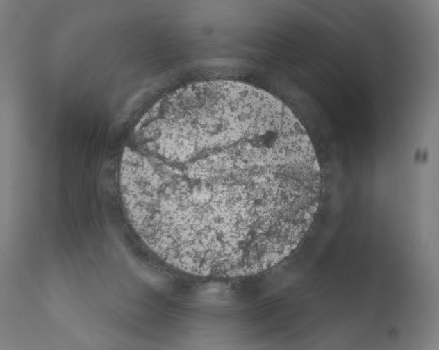 X0000110960162200907311114