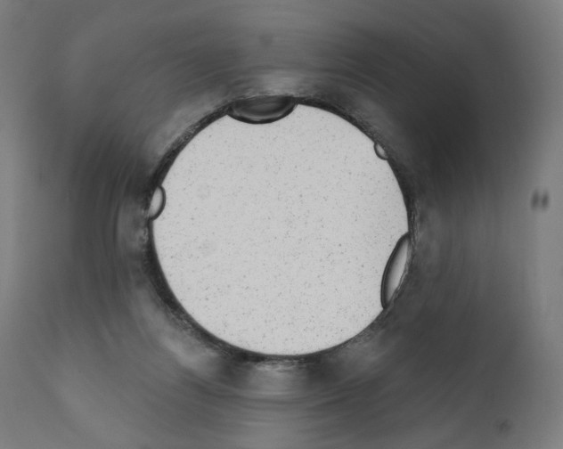 X0000110960164200907311114