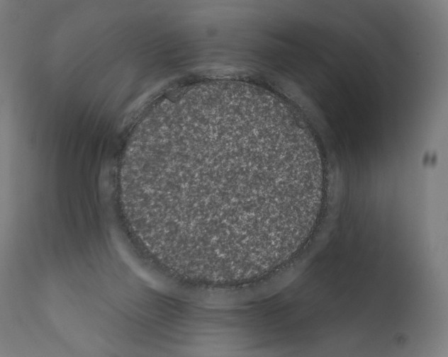 X0000110960165200907311114