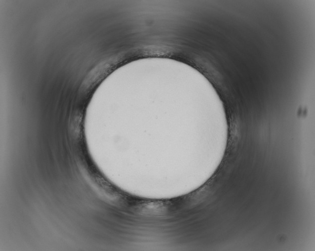 X0000110960166200907311114