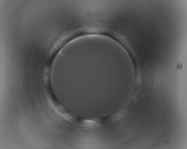 X0000110960167200907311114