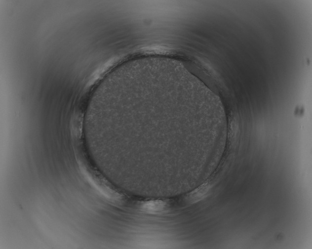 X0000110960168200907311114