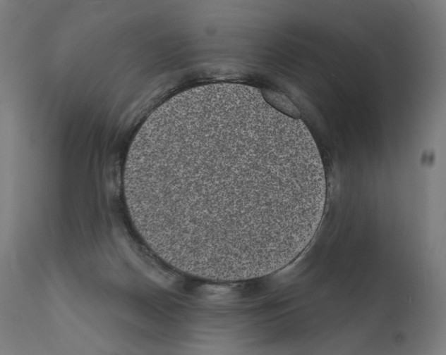 X0000110960170200907311114