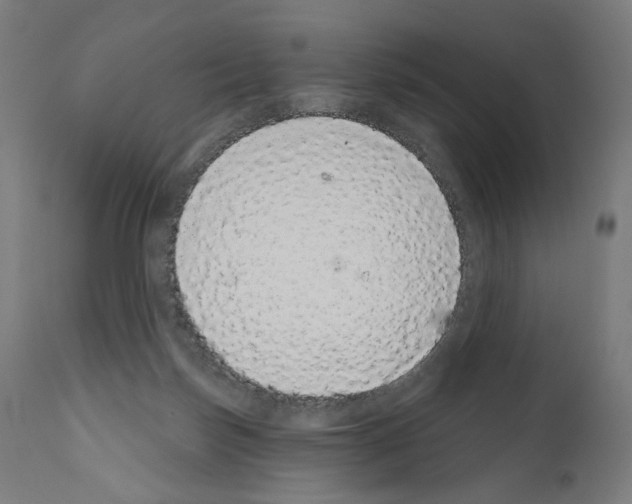 X0000110960171200907311114