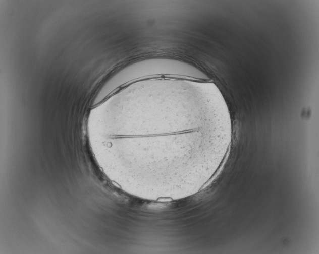 X0000110960172200907311115