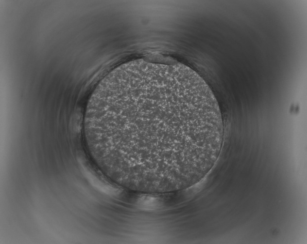 X0000110960174200907311115