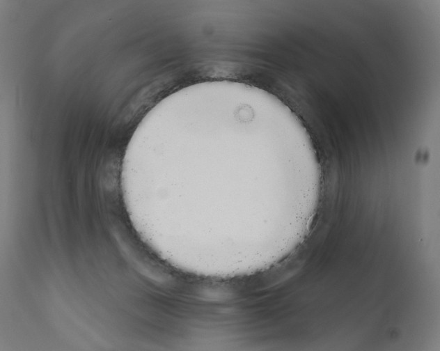 X0000110960175200907311115