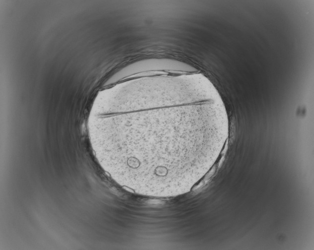 X0000110960176200907311115