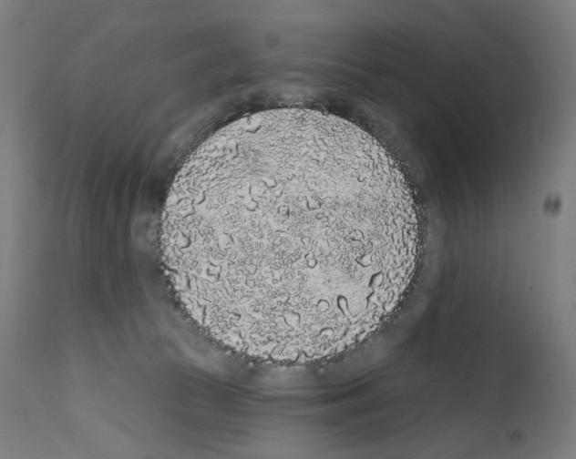 X0000110960177200907311115