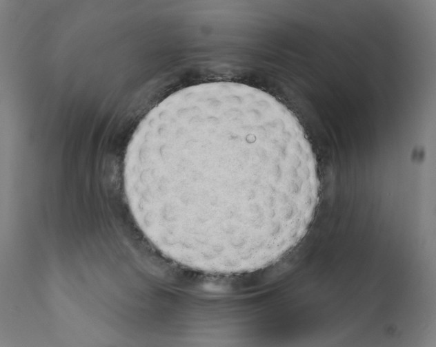 X0000110960178200907311115