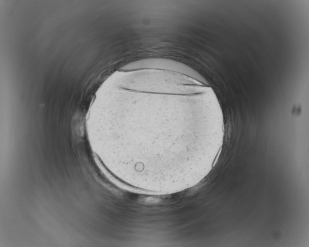 X0000110960180200907311115