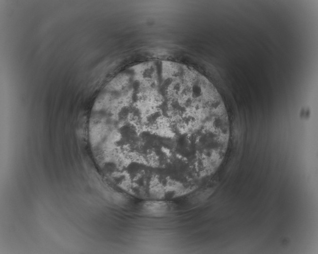 X0000110960181200907311115