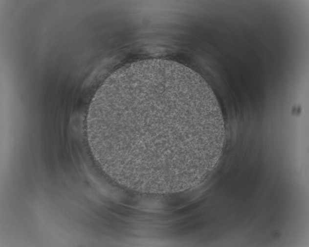 X0000110960182200907311115