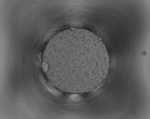 X0000110960183200907311115