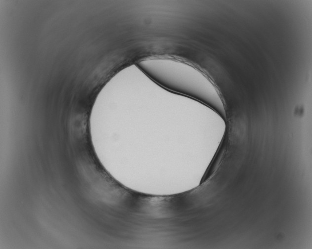 X0000110960184200907311115