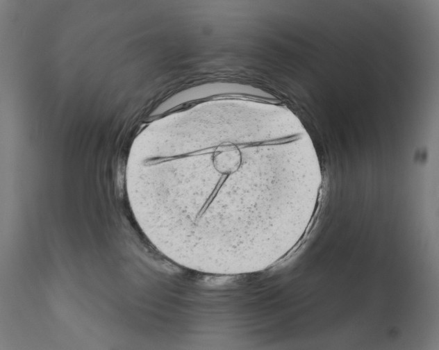 X0000110960186200907311115