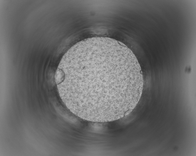 X0000110960187200907311115
