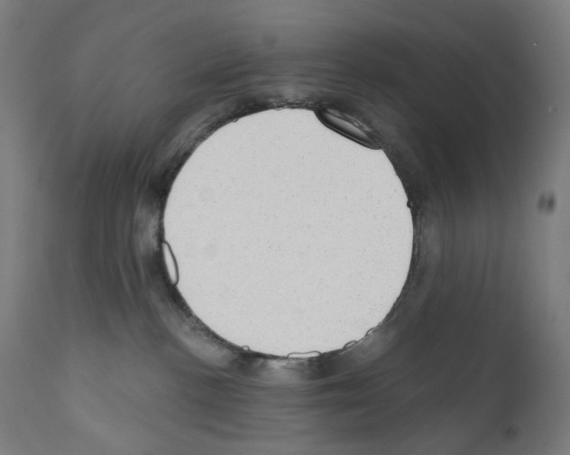 X0000110960188200907311115
