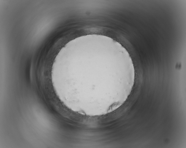 X0000110960189200907311115