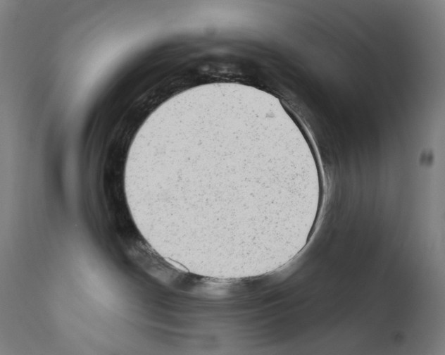 X0000110960190200907311115