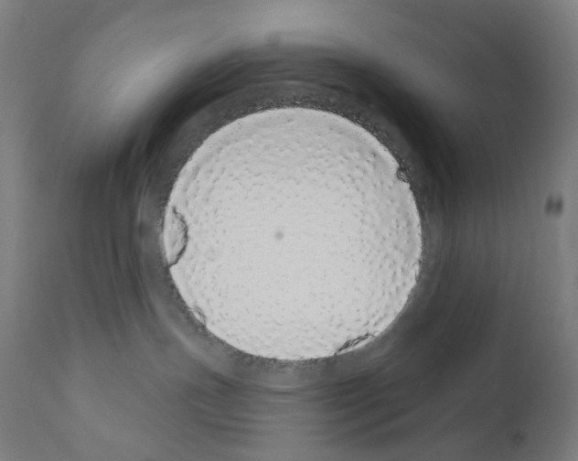X0000110960191200907311115