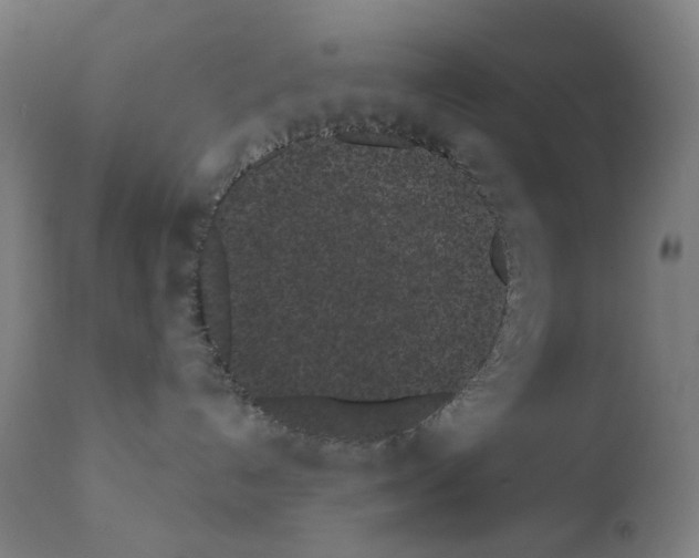 X0000110960192200907311115